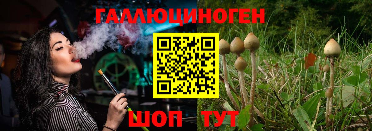 Галлюциногенные грибы GOLDEN TEACHER  Галлюциногенные грибы прущие грибы  Ялуторовск  Вход с VPN 